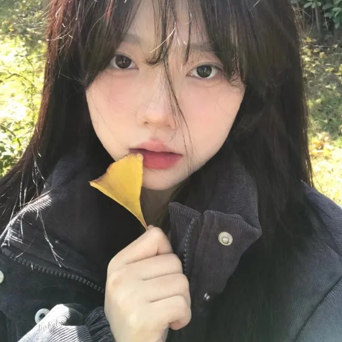 金石情